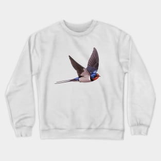 Barn Swallow Crewneck Sweatshirt